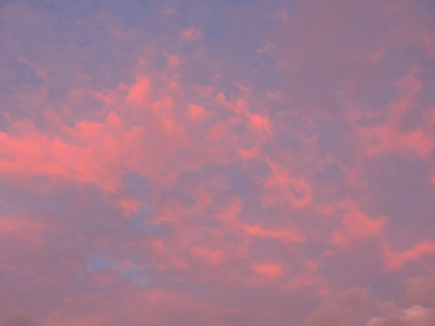 Ein Himmel voller rosa Wölkchen....