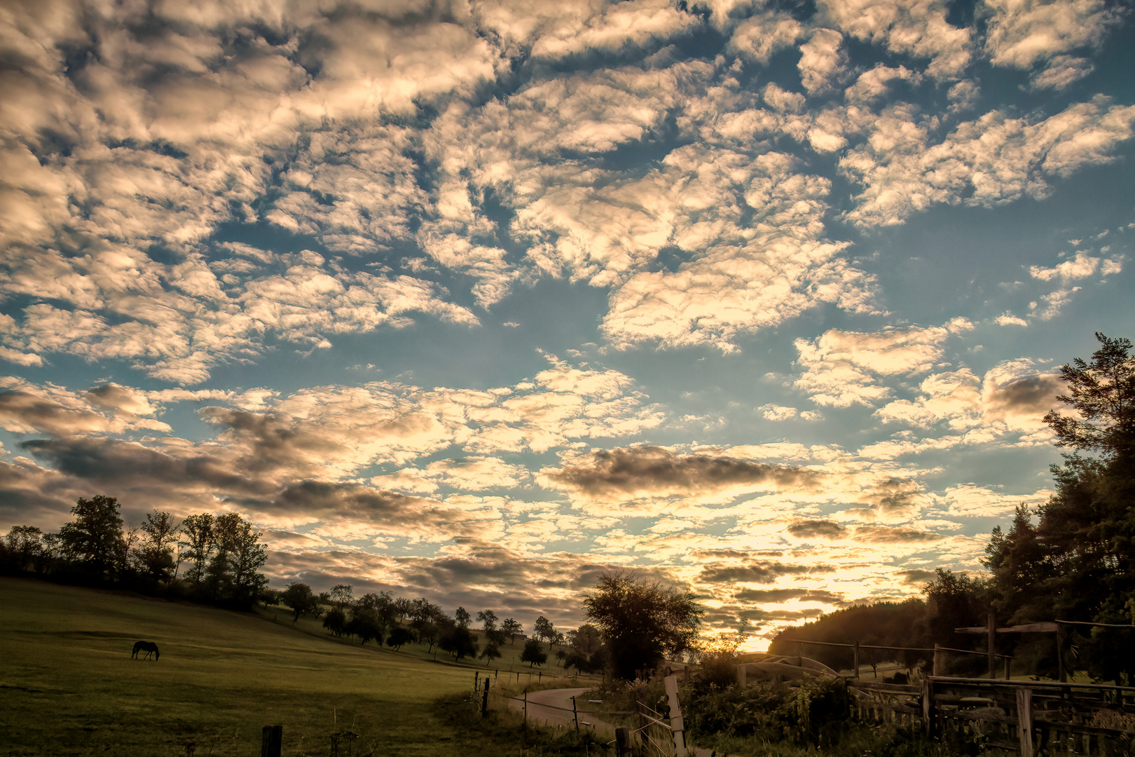 Ein Himmel voller Schäfchen