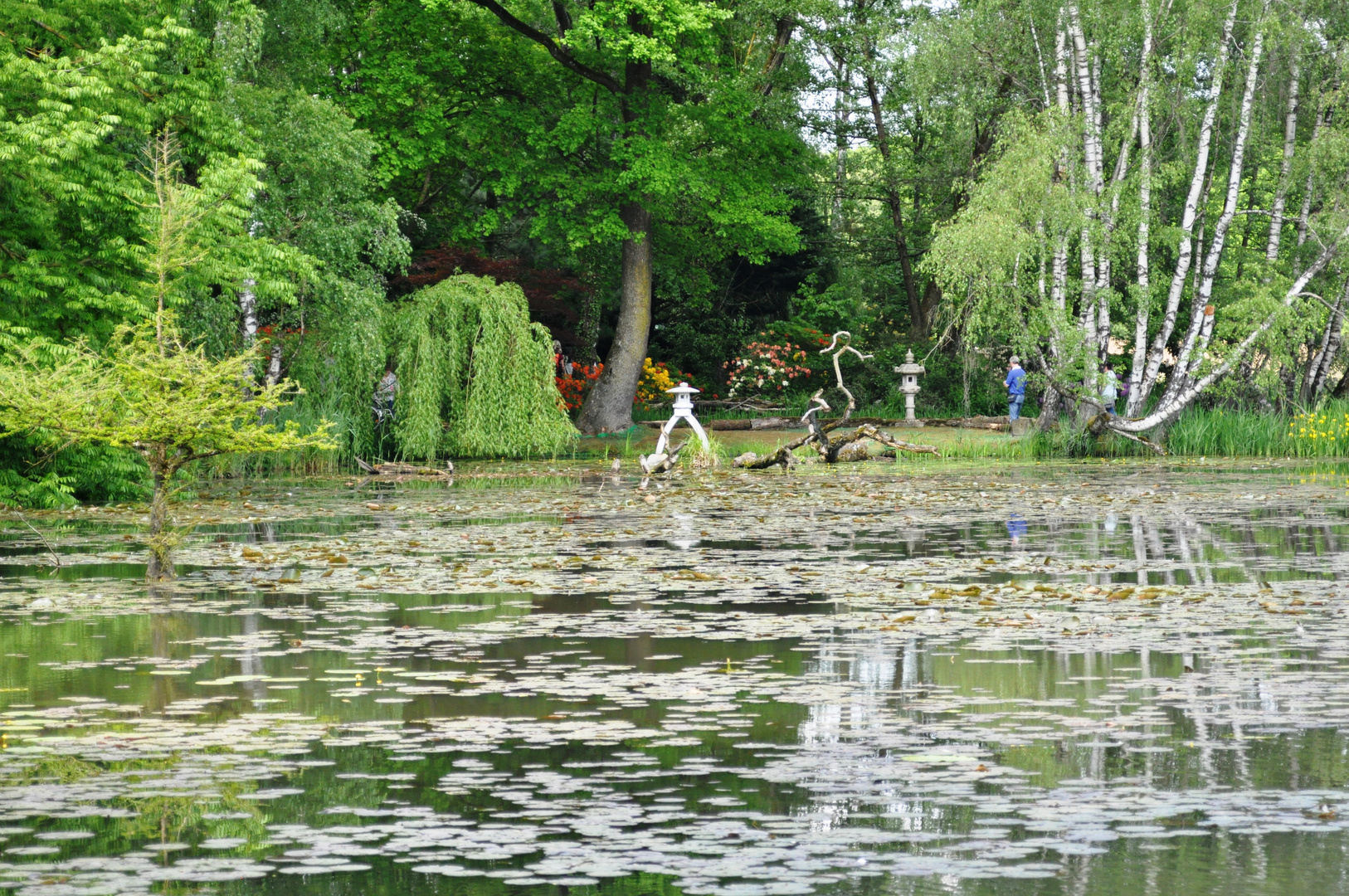 Ein Hingucker-der Dennenloher See