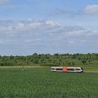 Ein HLB-GTW bei Langsdorf im mittäglichen Sonnenschein