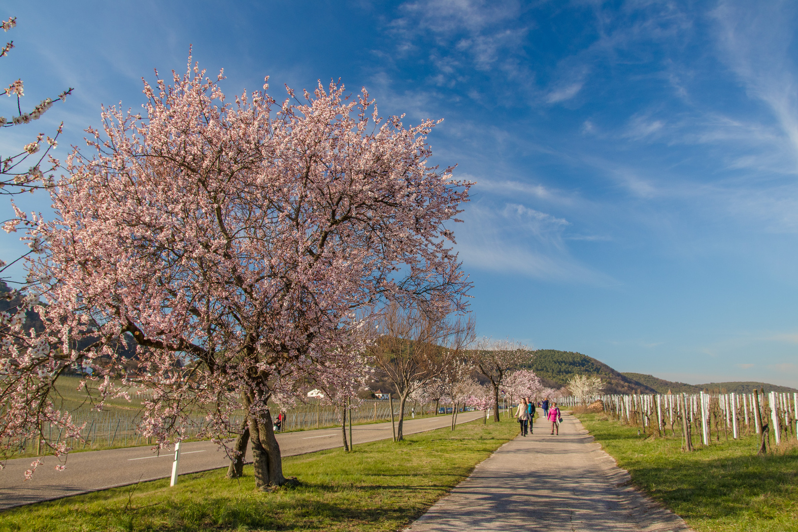 Ein Hoch auf den Frühling