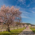 Ein Hoch auf den Frühling