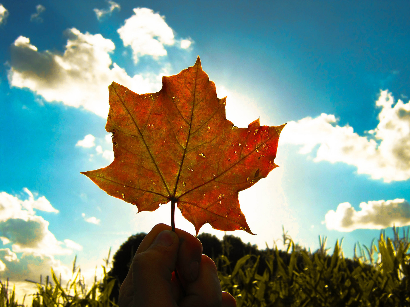 Ein Hoch auf den Herbst