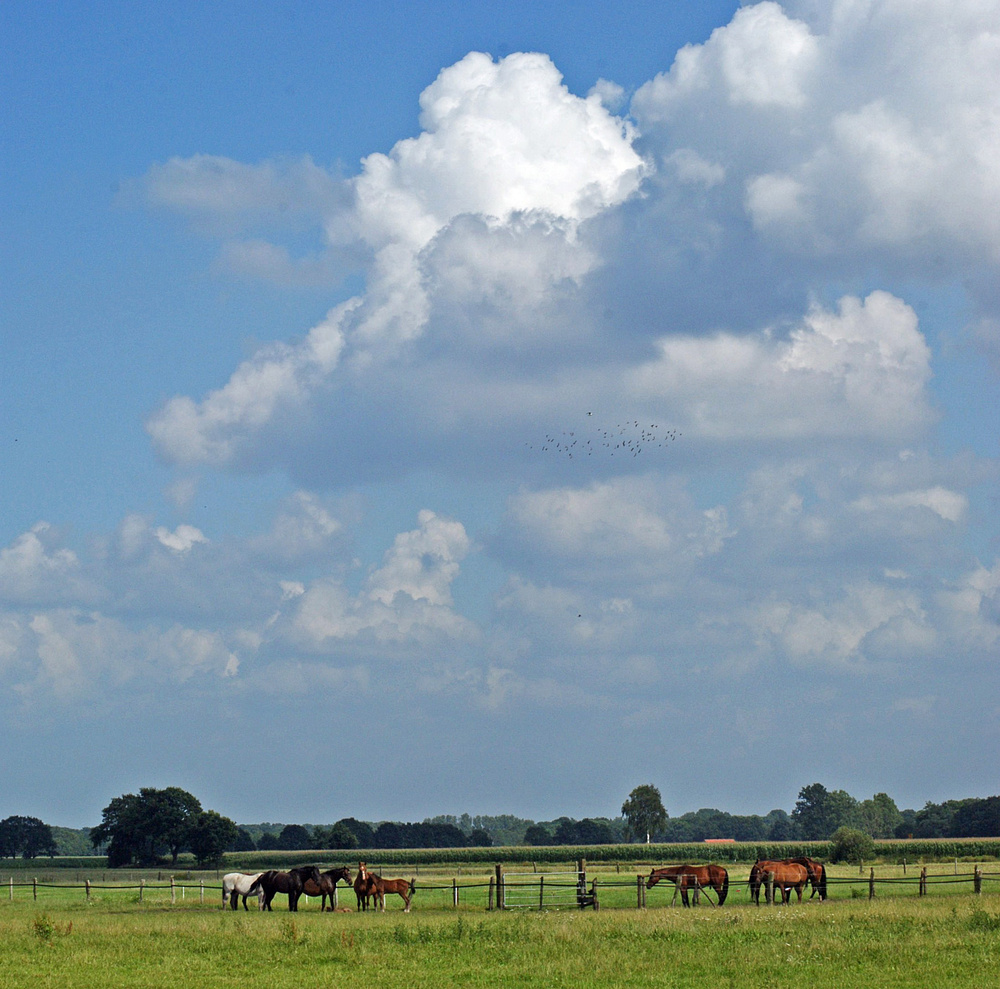 Ein Hochsommertag