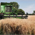 Ein Hochsommertag im Münsterland