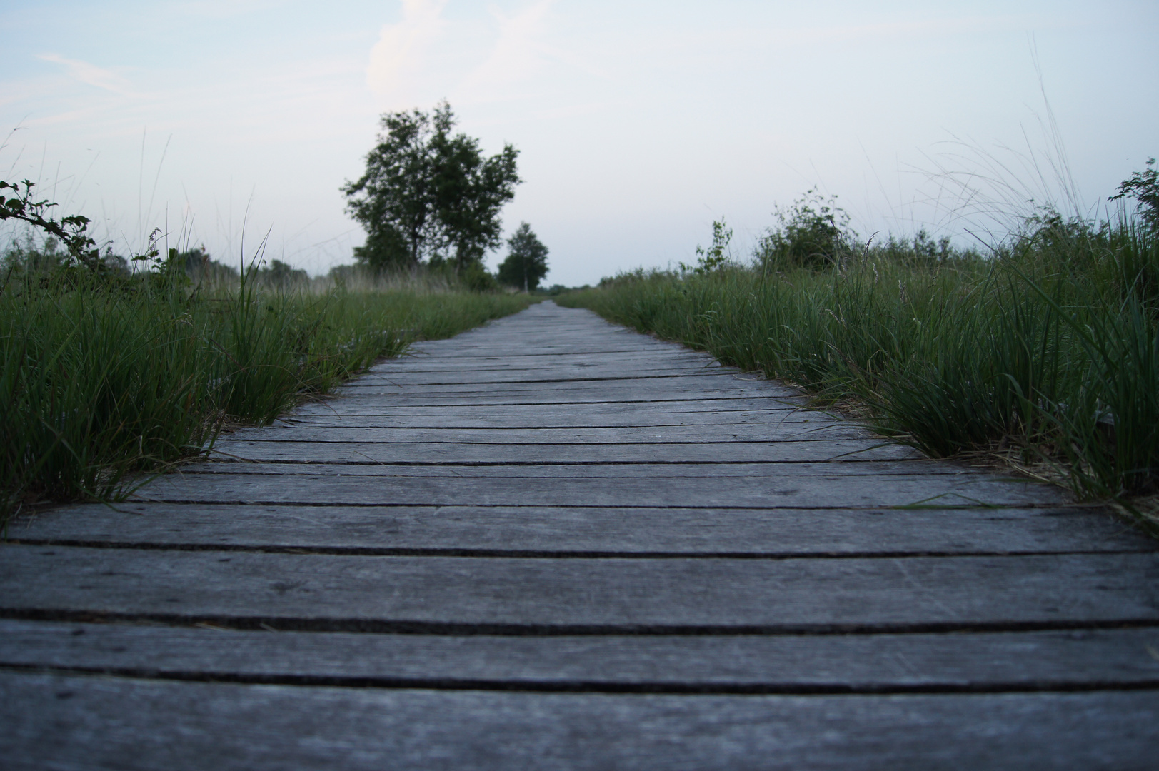 ein hölzerner weg