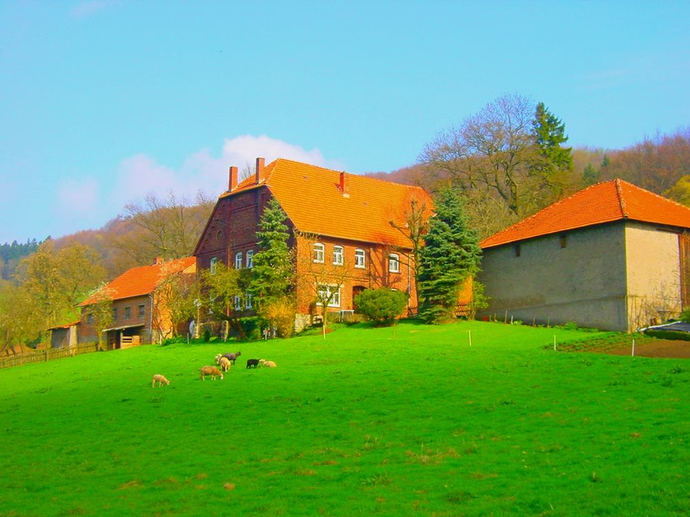 Ein Hof an der Reelser Straße