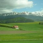 ein Holzhaueschen liegt auf Feld