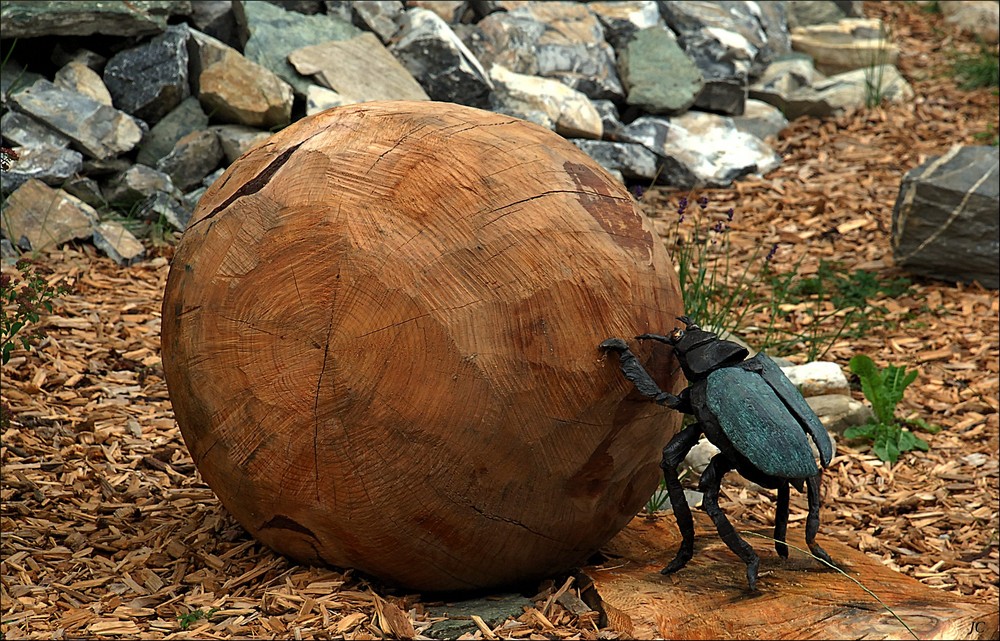 Ein Holzkäfer # Un bicho de madera