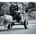 Ein Holztransport passiert die Kaiserstadt