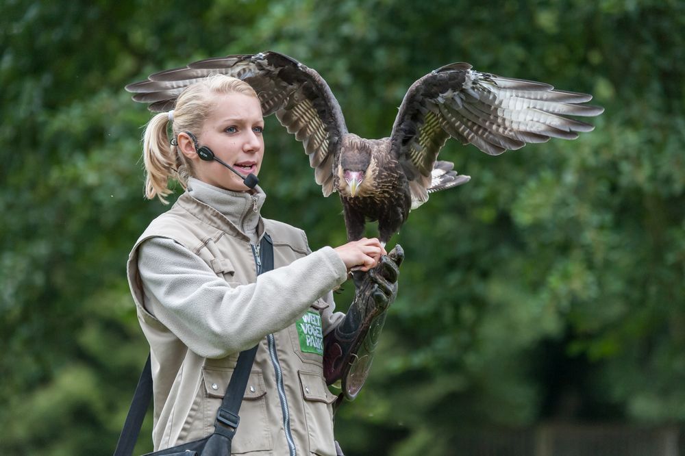 Ein hübscher Vogel....