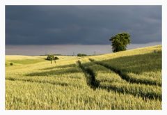 ein Hügelland im Nordwesten von Baden-Württemberg II