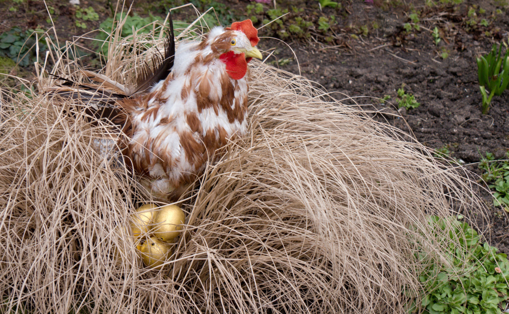 "Ein Huhn, das goldene Eier legt"