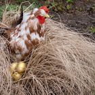 "Ein Huhn, das goldene Eier legt"