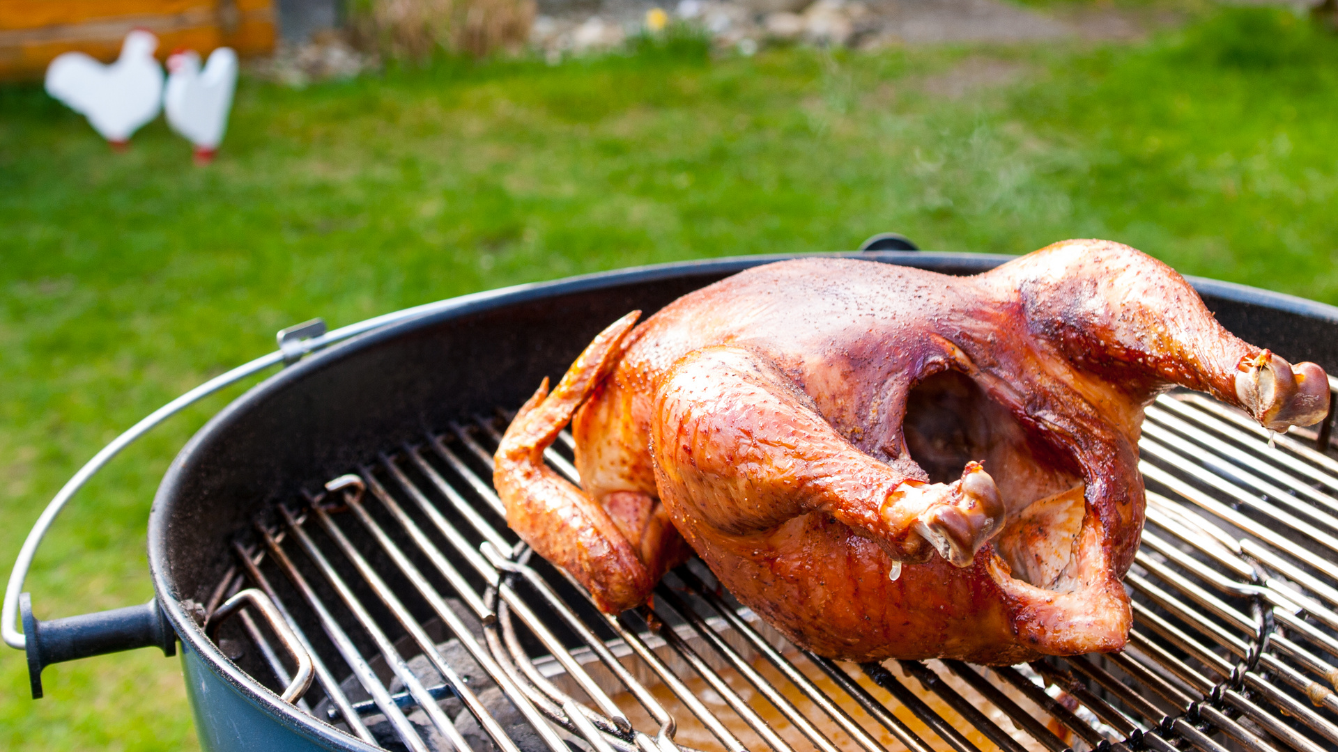 Ein Huhn, zwei Hühner