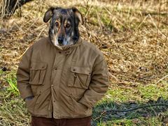 ein hund ist auch nur ein mensch