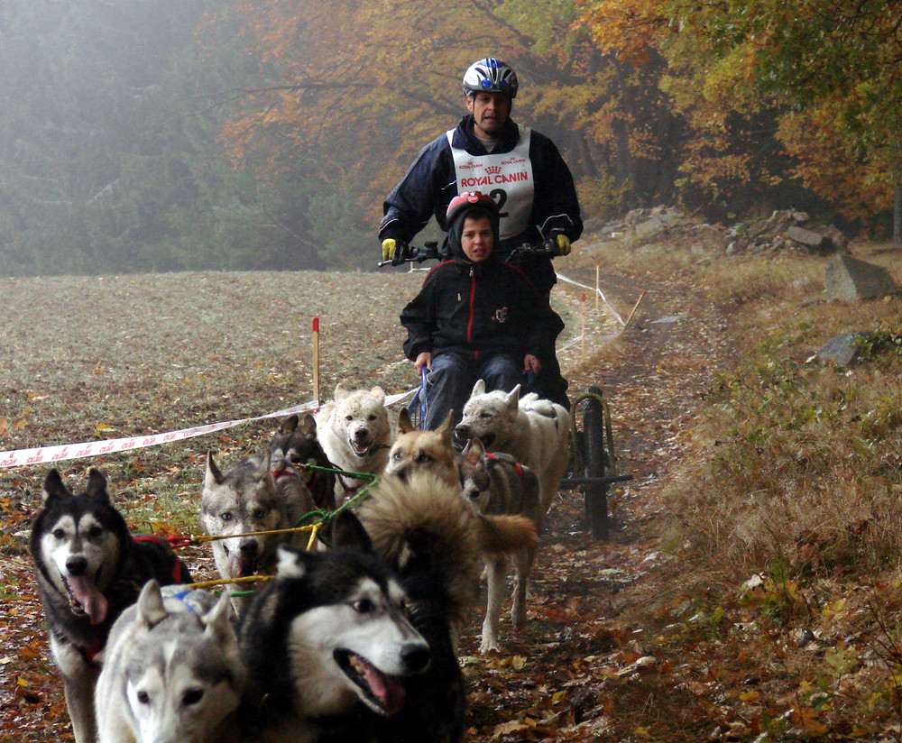 Ein Hunderennen im mystischen geheimnisvollen Waldviertel ------ Part 1