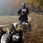 Ein Hunderennen im mystischen geheimnisvollen Waldviertel ------ Part 1