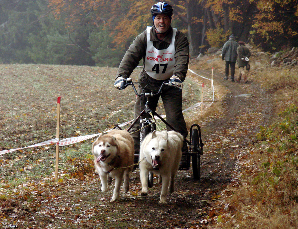 Ein Hunderennen im mystischen geheimnisvollen Waldviertel ------ Part 10