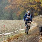 Ein Hunderennen im mystischen geheimnisvollen Waldviertel ------ Part 12