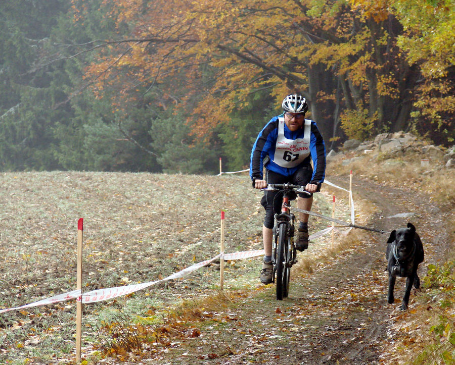 Ein Hunderennen im mystischen geheimnisvollen Waldviertel ------ Part 12