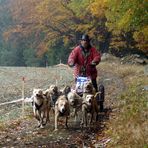 Ein Hunderennen im mystischen geheimnisvollen Waldviertel ------ Part 6