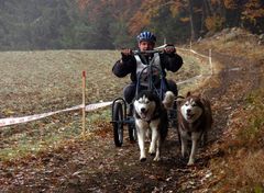 Ein Hunderennen im mystischen geheimnisvollen Waldviertel ------ Part 7