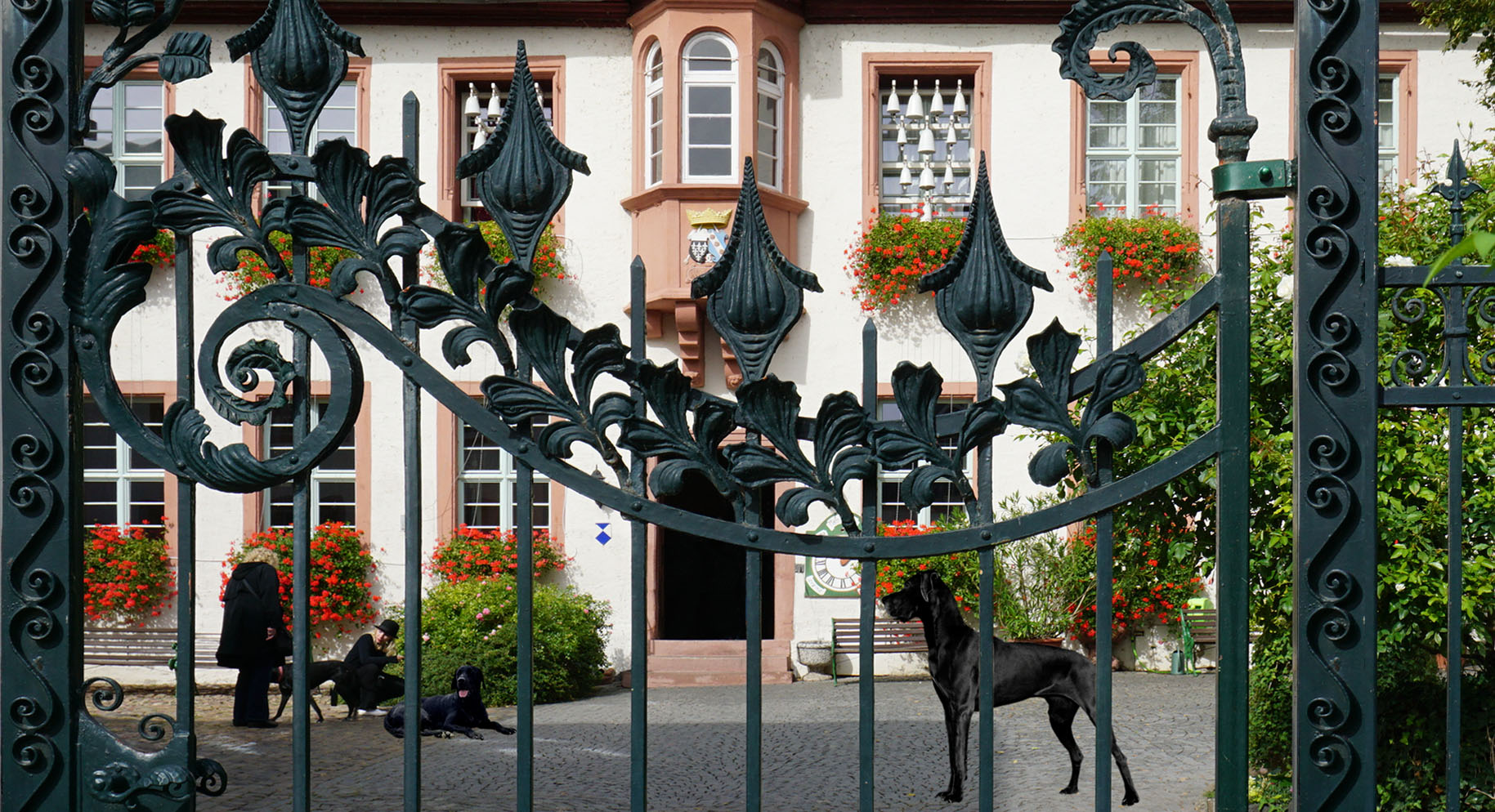 Ein hundshübscher Durchblick in Rüdesheim am Rhein