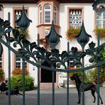 Ein hundshübscher Durchblick in Rüdesheim am Rhein