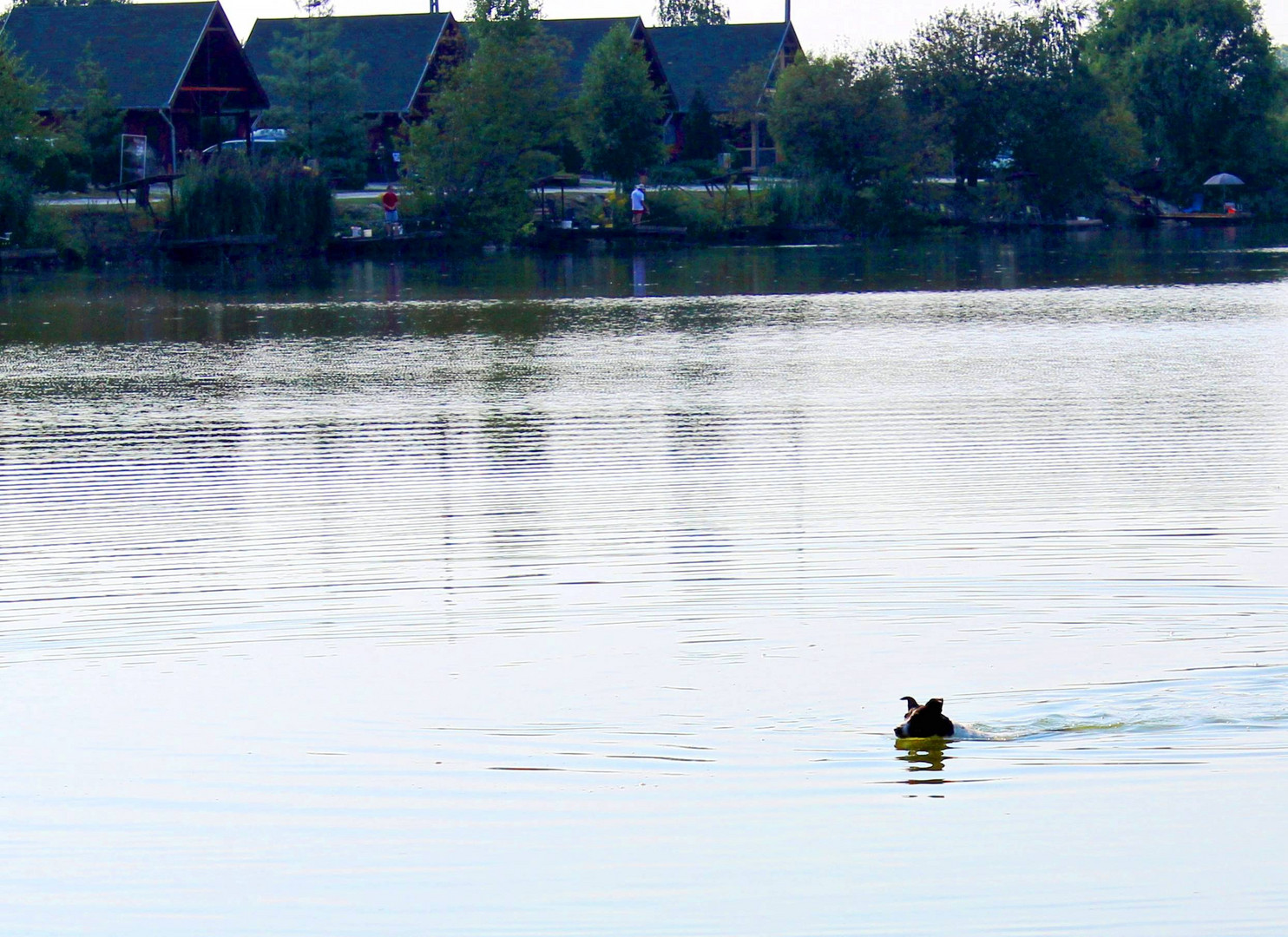 Ein Hundwetter ...