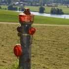 Ein Hydrant auf weiter Flur