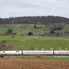 Ein ICE huscht vor den Weinbergen bei Heppenheim a.d. Bergstraße vorbei.