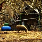 ein Idyll gar nicht weit von der Stadt