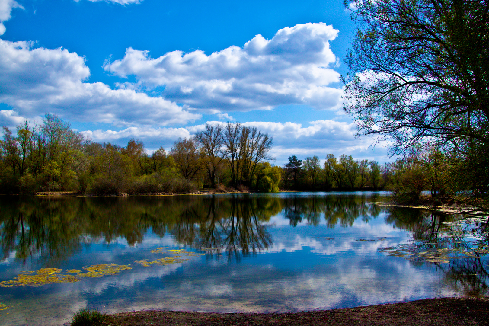 ein Idylle am See in Leimersheim