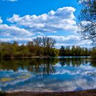 ein Idylle am See in Leimersheim