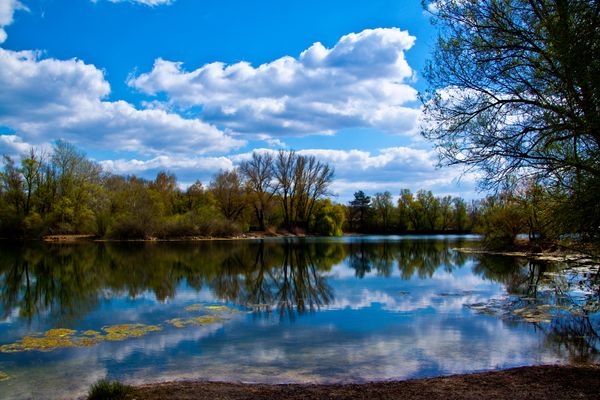 ein Idylle am See in Leimersheim