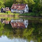 Ein idyllisch gelegener Teich