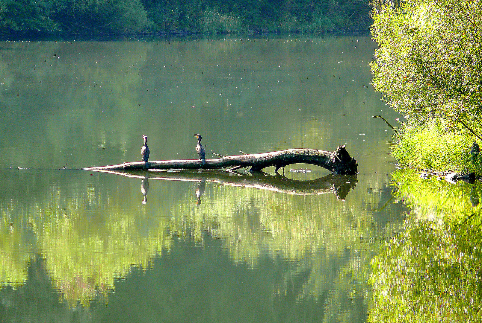 Ein idyllischer Ort der Ruhe und Entspannung