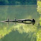 Ein idyllischer Ort der Ruhe und Entspannung