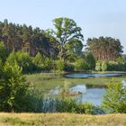 Ein idyllischer  Waldsee