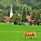 Ein idyllisches Bergdorf