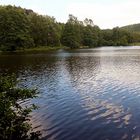 Ein idyllisches Fleckchen zum Erholen -