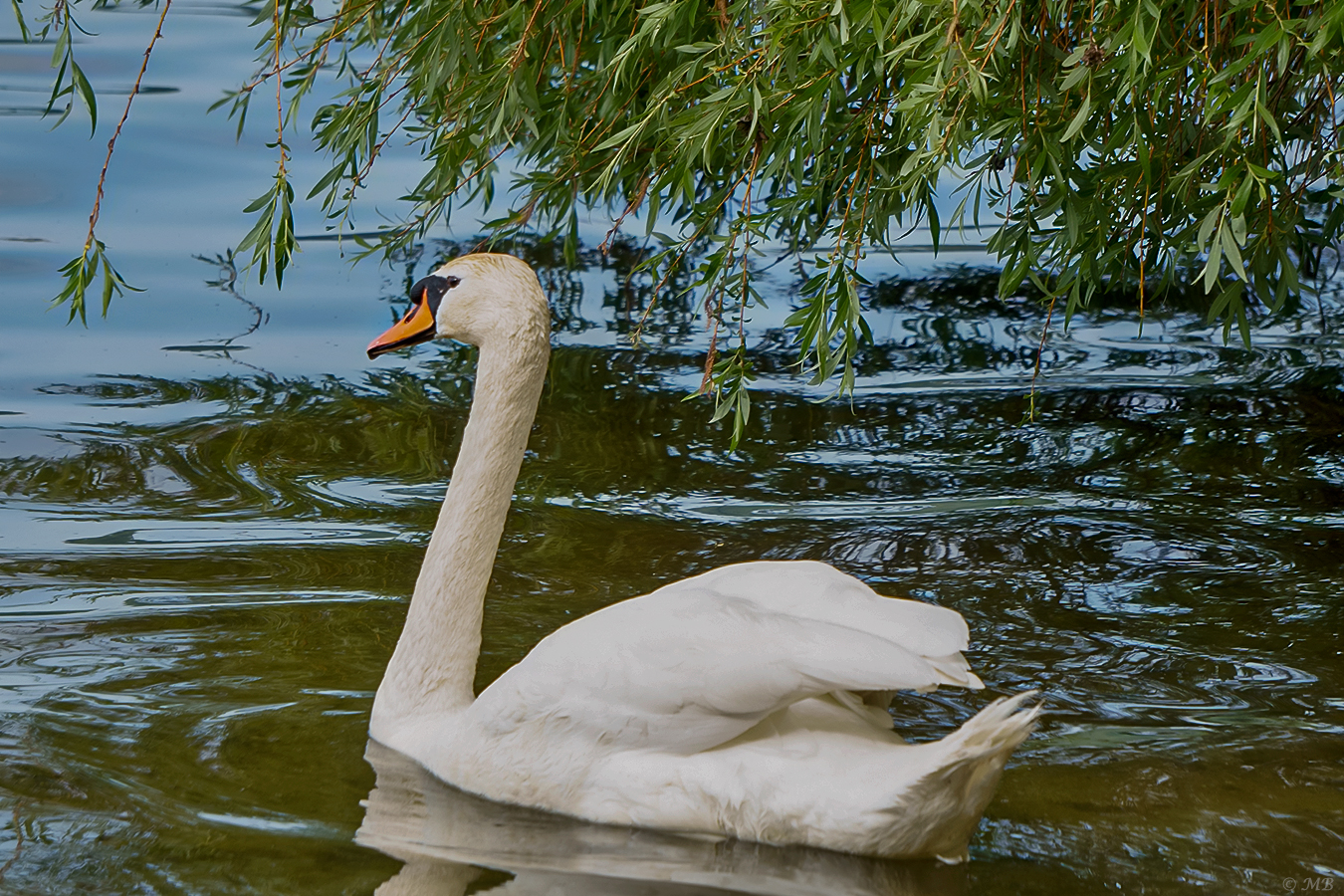 Ein idyllisches Plätzchen