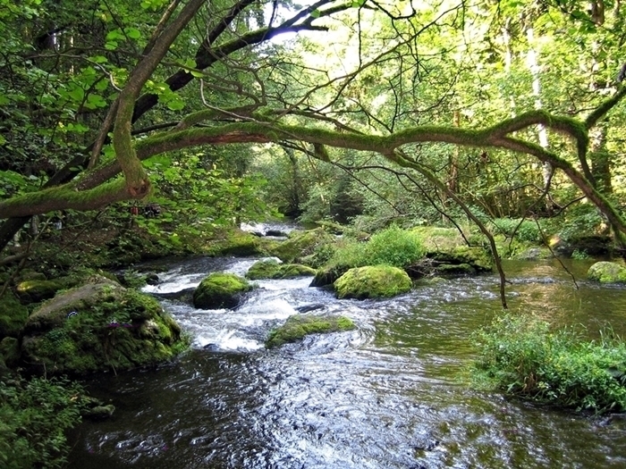 Ein idyllisches Plätzchen