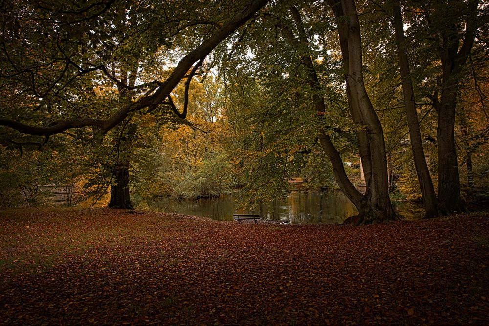 Ein idyllisches Plätzchen