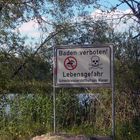 Ein idyllisches Plätzchen für Wasservögel