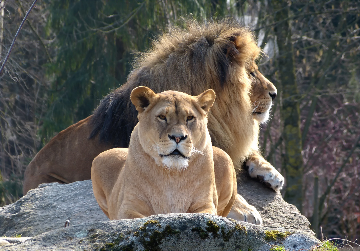 EIN IMPERIALES PAAR IM ABENDLICHT