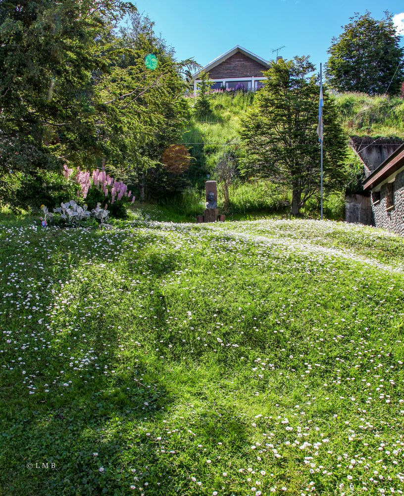 Ein inneres Gänseblümchenpflücken