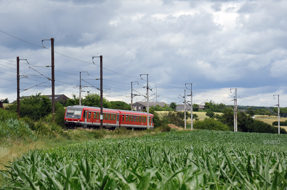 Ein IR Trier-Luxemburg durchpflügt ein Maisfeld bei Roodt/Syre