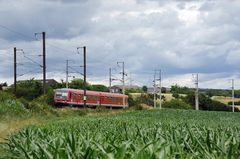 Ein IR Trier-Luxemburg durchpflügt ein Maisfeld bei Roodt/Syre